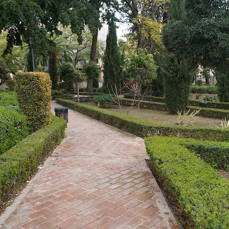 Plaza Alfonso Xii Malaga